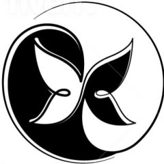 Mind Body Soul Coach Online